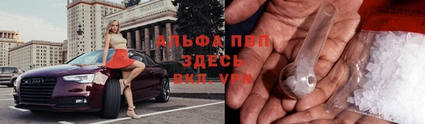 шишки Нефтегорск