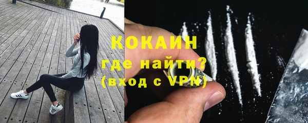 шишки Нефтегорск
