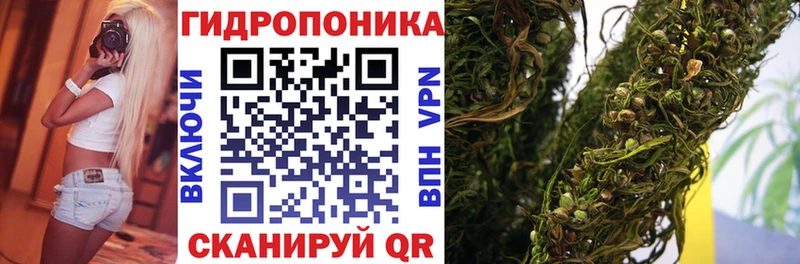 Бошки Шишки семена  даркнет как зайти  Мосальск  наркота 